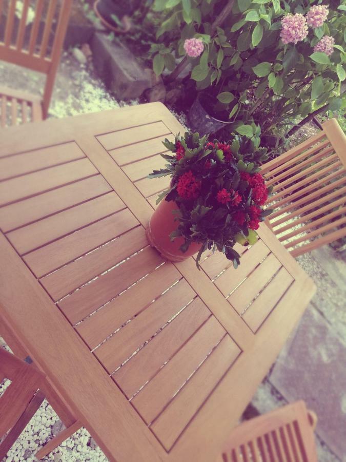 לובראן Studio Apartman Villa Gianna מראה חיצוני תמונה